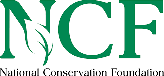 NCF to educate over 2000 youths to champion ecosystem restoration