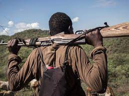 Suspected Fulani Herdsmen Send Message to Oyo Communities, Threaten Attack