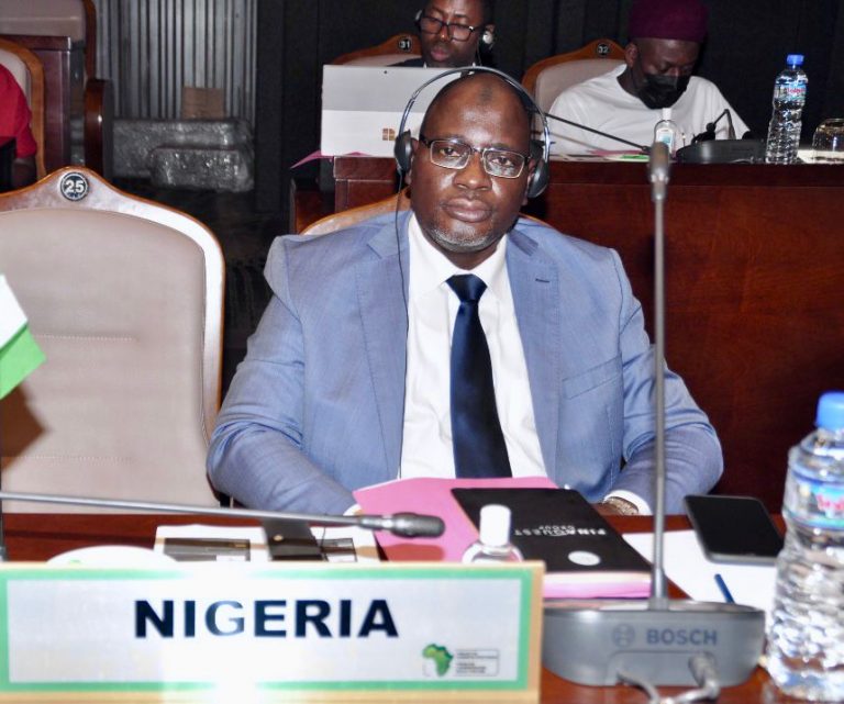 FIRS Calls For Increased Collaboration Within African Countries to Effectively Tax Digital Businesses