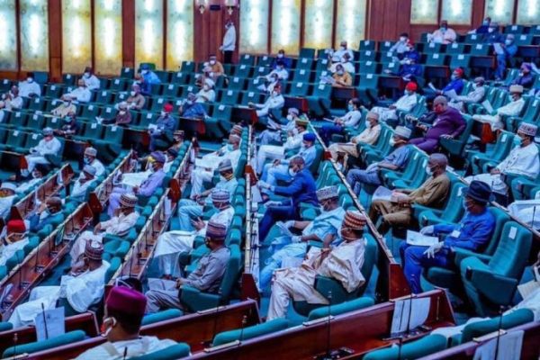 G-60 lawmakers spokesperson, Ugochinyere, knocks opposition govs, leaders over silence on Kano, Rivers crises
