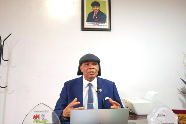 Prof Emeje: Courier, logistics can boost Nigeria’s GDP by 60%